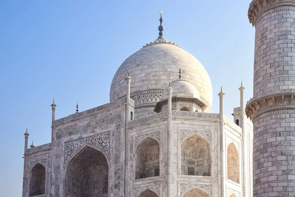 Taj Mahal marble detail