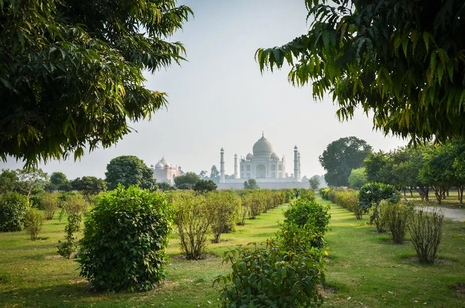 Taj Mahal garden view
